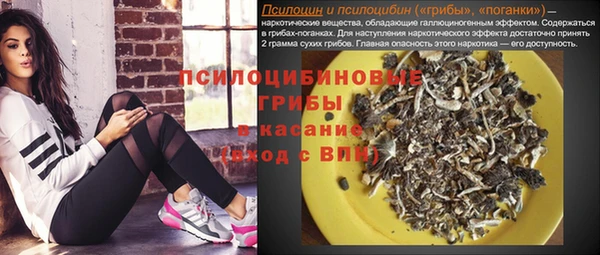 мет Арсеньев