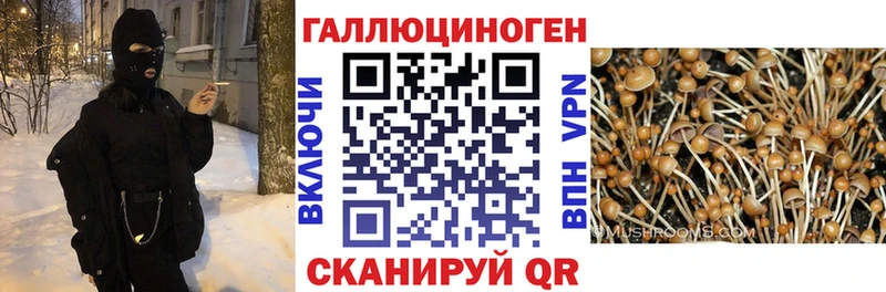 Псилоцибиновые грибы MAGIC MUSHROOMS  Уяр 